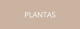 Plantas