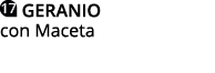 GERANIO con Maceta