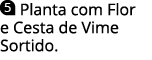  Planta com Flor e Cesta de Vime Sortido 