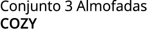 Conjunto 3 Almofadas cozy
