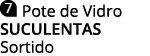  Pote de Vidro SUCULENTAS Sortido