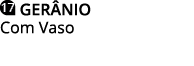  GERÂNIO Com Vaso
