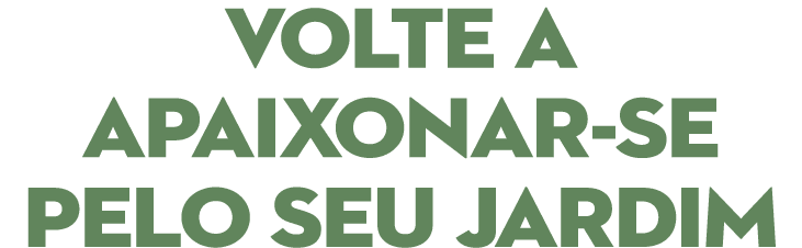 volte a apaixonar-se pelo seu jardim