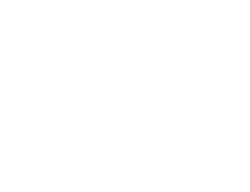 Canvas GUEPARDO/ CACATUA/ TUCAN C d. 404897/ 96/ 95