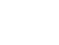 Quadro LEOPARDO/ CACATUA/ TUCAN C d. 404897/ 96/ 95
