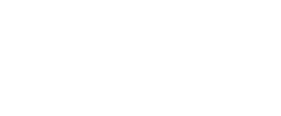  20%