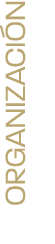 organización