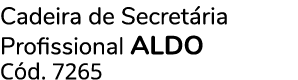 Cadeira de Secret ria Profissional ALDO C d. 7265