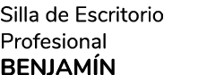 Silla de Escritorio Profesional BENJAMÍN