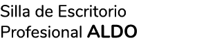 Silla de Escritorio Profesional ALDO 