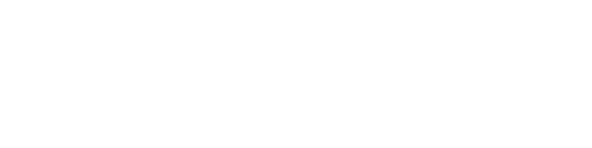 ceo