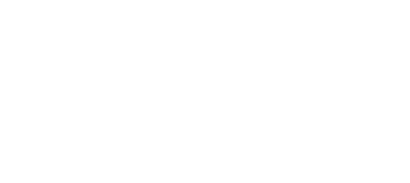 ceo