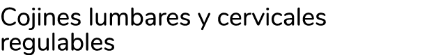 Cojines lumbares y cervicales regulables