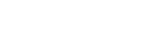 ceo