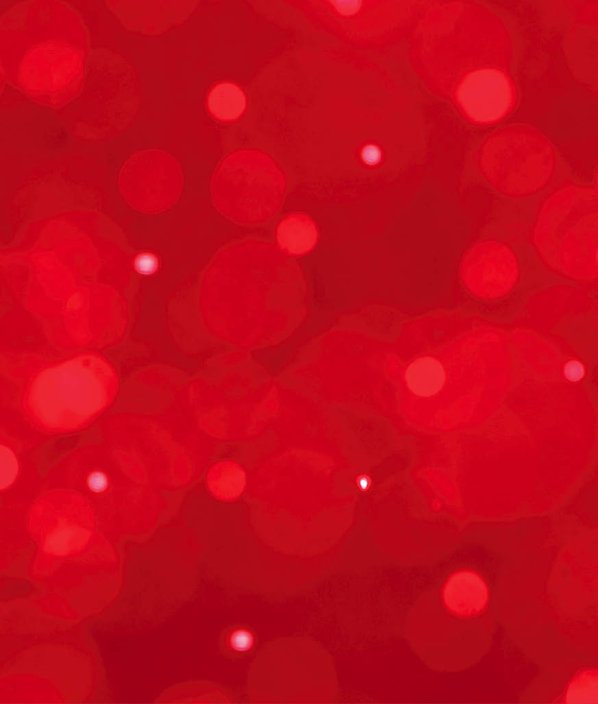 Red festive Christmas elegant abstract background