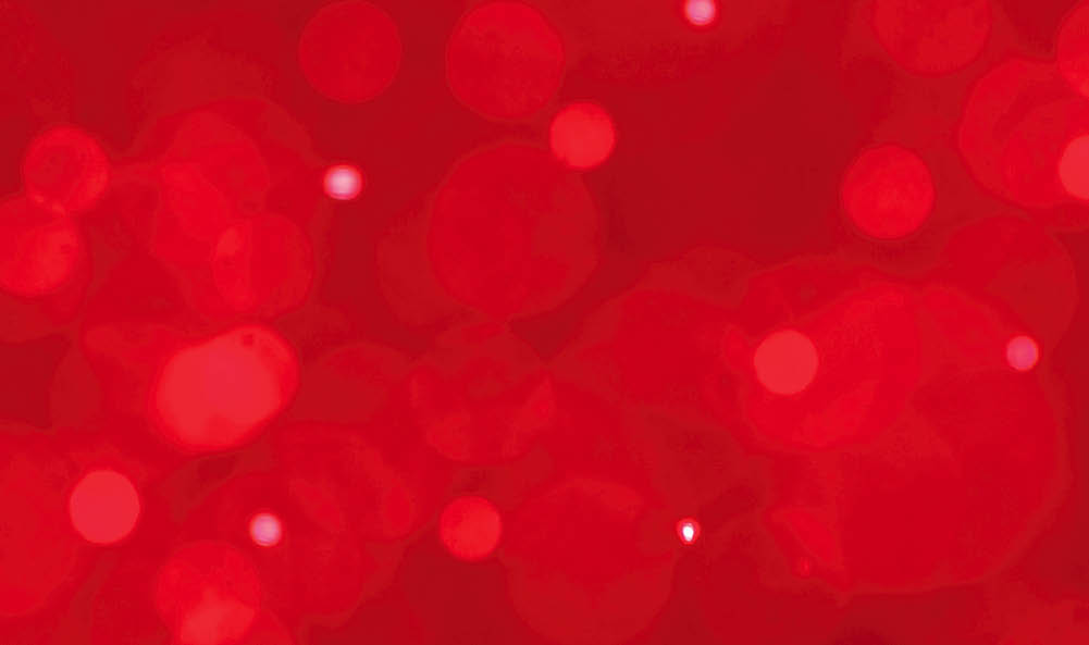 Red festive Christmas elegant abstract background