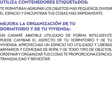 Utiliza contenedores etiquetados: Te permitirán agrupar los objetos más pequeños, dividir el espacio y encontrar tus    