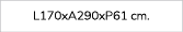 L170xA290xP61 cm. 