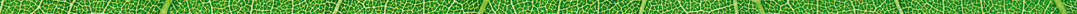 it is horizontal green leaf texture for pattern and background.