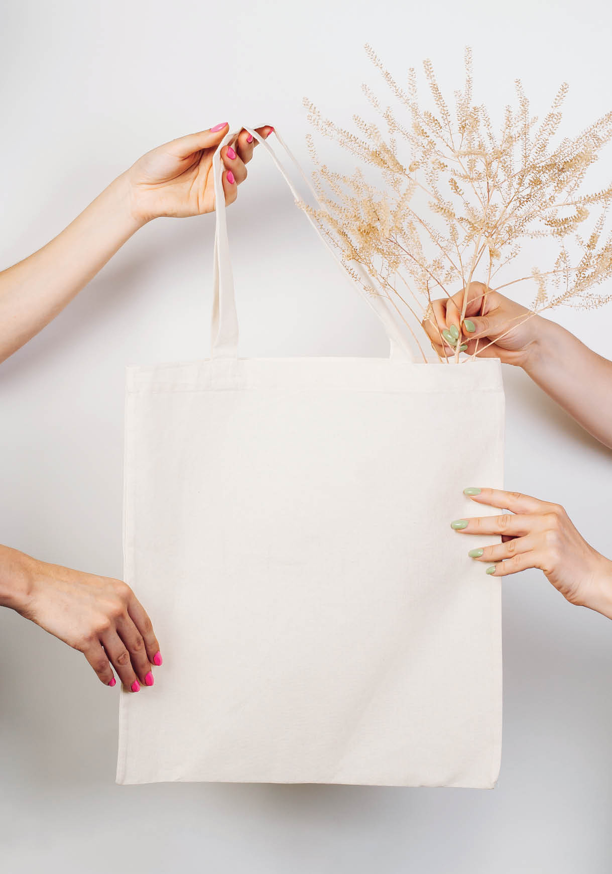 Female hands hold reusable eco-bag. Mocku of cotton white bag on white isolated background with sprig of dried flowers for text or design, concept of zero waste. 