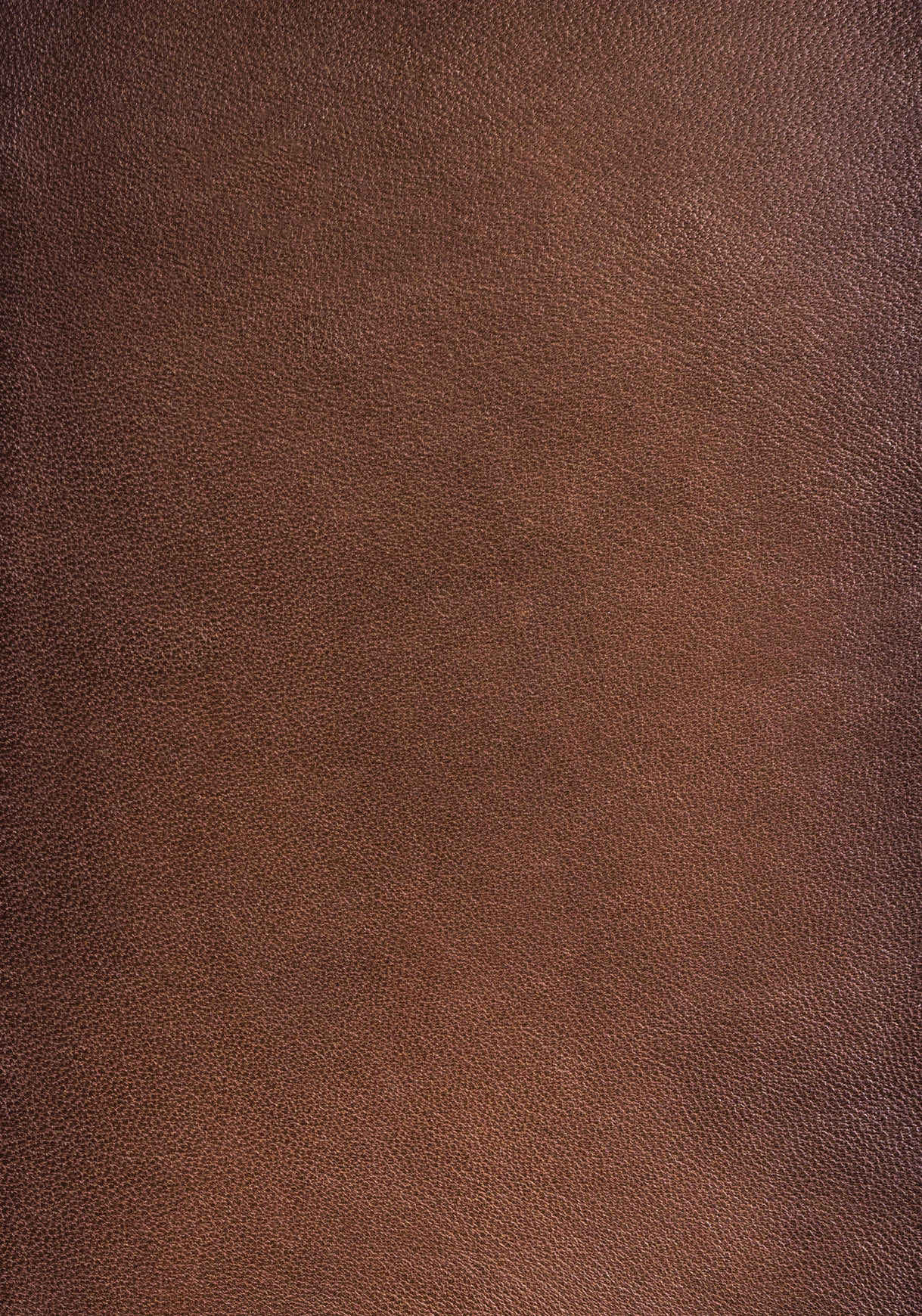 Genuine leather texture background