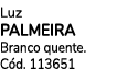 Luz Palmeira Branco quente. C d. 113651