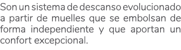 Son un sistema de descanso evolucionado a partir de muelles que se embolsan de forma independiente y que aportan un c...