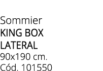 Sommier KING BOX LATERAL 90x190 cm. C d. 101550