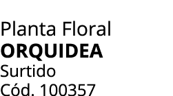 Planta Floral ORQUIDEA Surtido C d. 100357