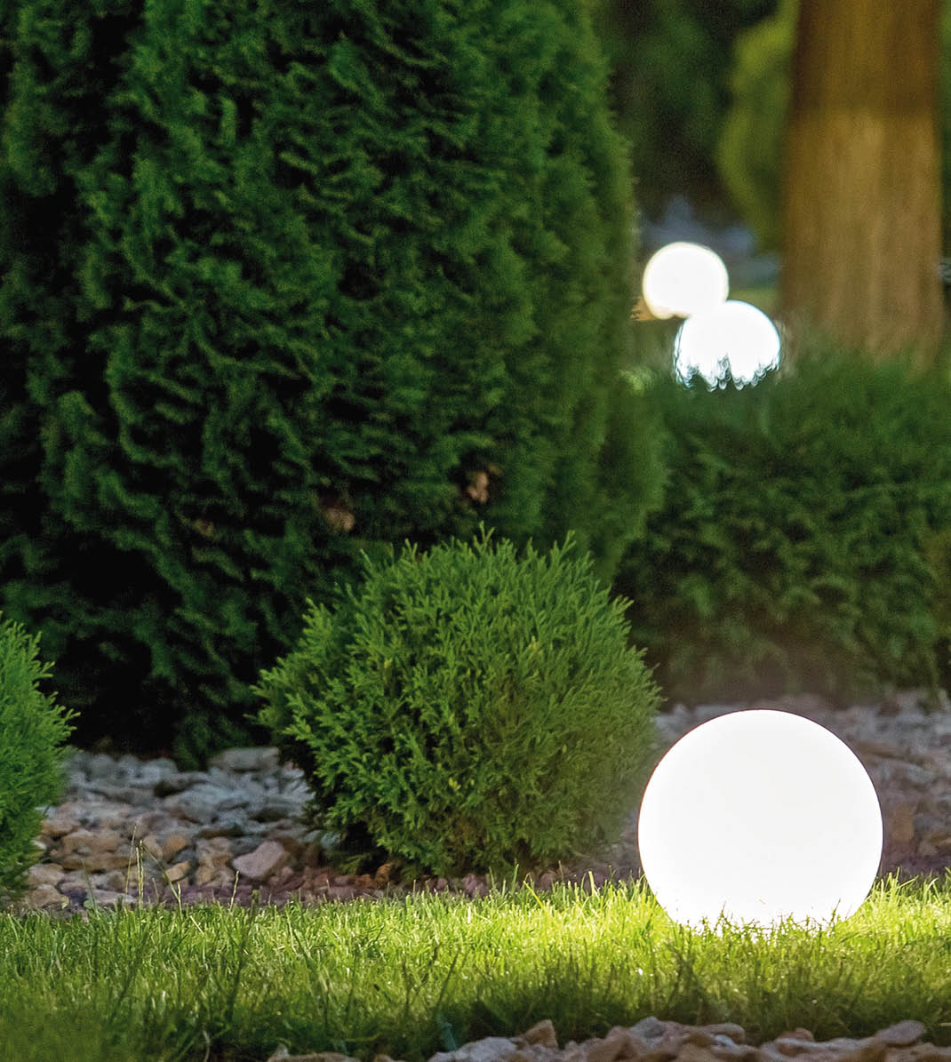 backyard light garden with lantern electric lamp with a round diffuser in the green grass with thuja bushes in a park with landscaping, closeup night scene nobody.