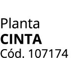 Planta CINTA C d. 107174
