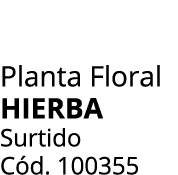 Planta Floral HIERBA Surtido C d. 100355