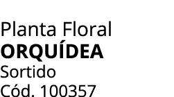 Planta Floral Orqu dea Sortido C d. 100357