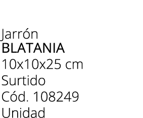 Jarr n blatania 10x10x25 cm Surtido C d. 108249 Unidad