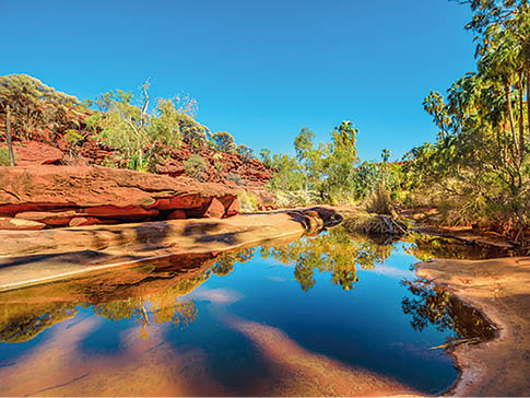 Red Cabbage Palm and rugged sandstone cliffs reflected on permanent waterhole in heart of Palm Valley, dry season in Finke Gorge National Park. Outback Safari in Northern Territory, Central Australia.