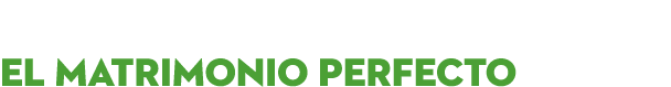 DISE O, BIENESTAR Y UTILIDAD EL MATRIMONIO PERFECTO