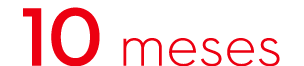 10 meses