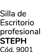 Silla de Escritorio profesional STEPH C d. 9001