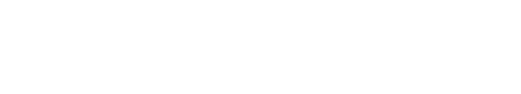 vive la emoci n de la Eurocopa