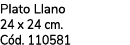 Plato Llano 24 x 24 cm. C d. 110581