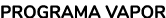 PROGRAMA VAPOR