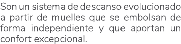 Son un sistema de descanso evolucionado a partir de muelles que se embolsan de forma independiente y que aportan un c...