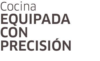 Cocina equipada con precisi n