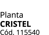 Planta Cristel C d. 115540