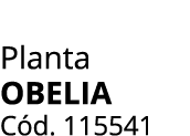 Planta Obelia C d. 115541