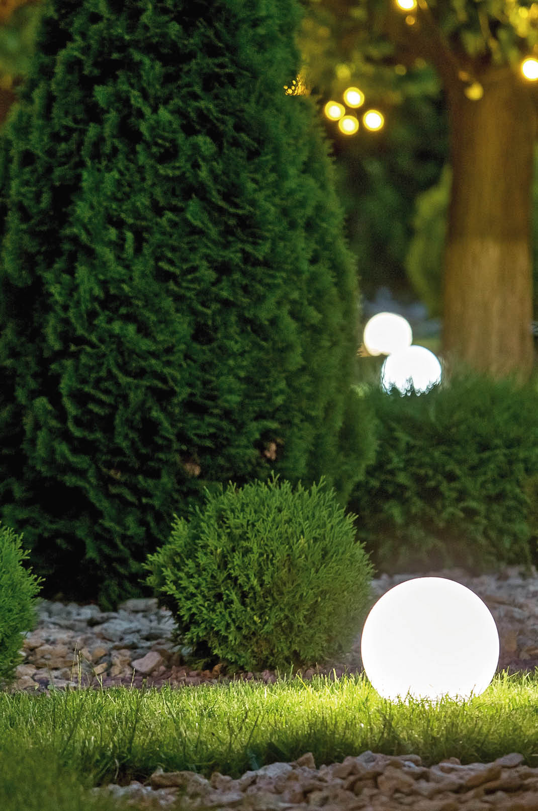 backyard light garden with lantern electric lamp with a round diffuser in the green grass with thuja bushes in a park with landscaping, closeup night scene nobody.