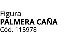 Figura Palmera Ca a C d. 115978