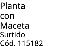 Planta con Maceta Surtido C d. 115182