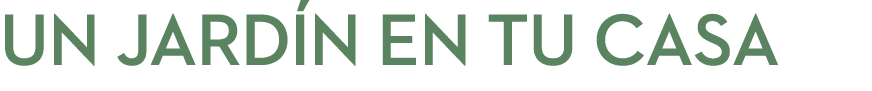 UN JARD N EN TU CASA