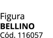Figura BELLINO C d. 116057 
